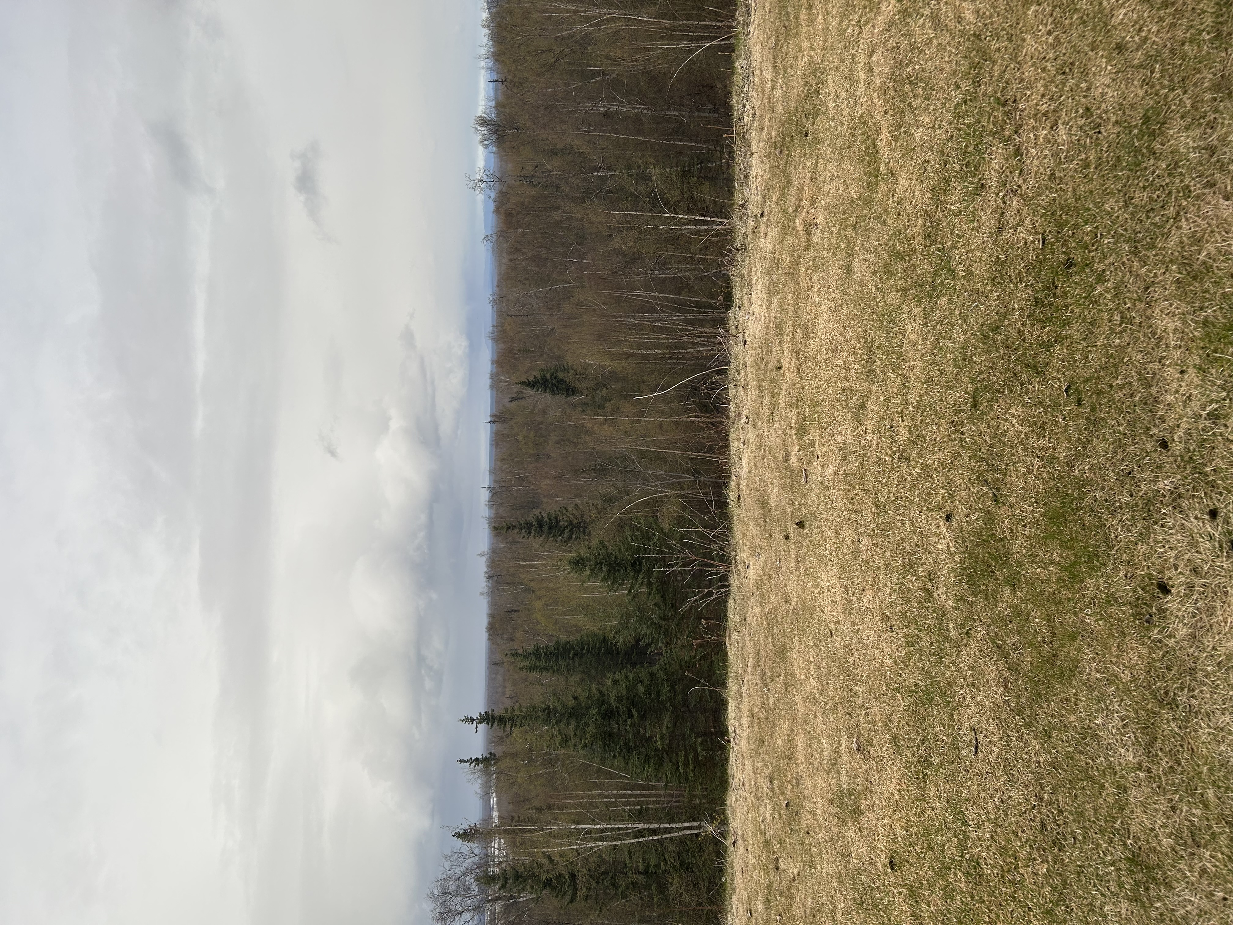 IMG_0589.jpeg