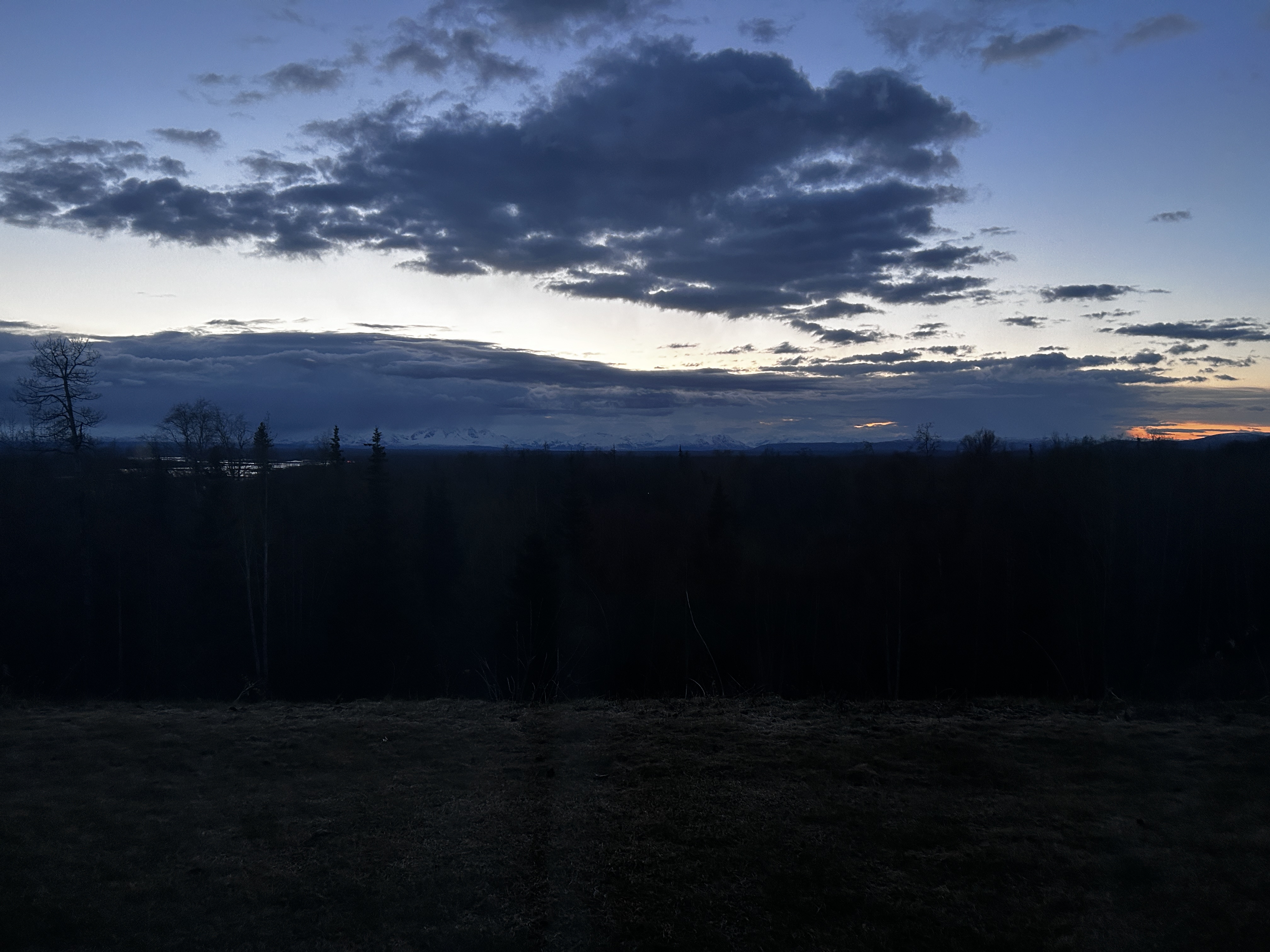 IMG_1169.jpeg