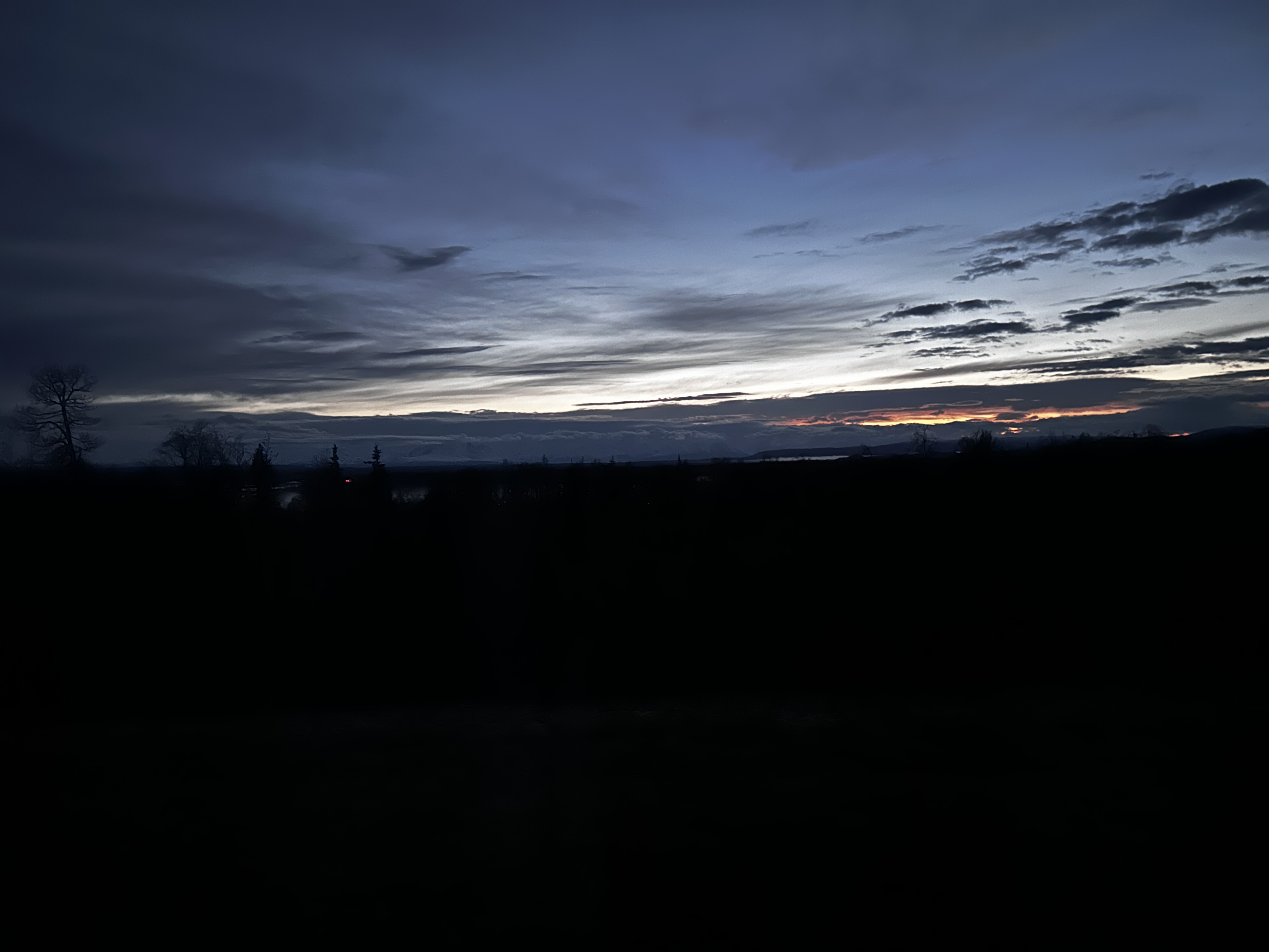 IMG_1284.jpeg