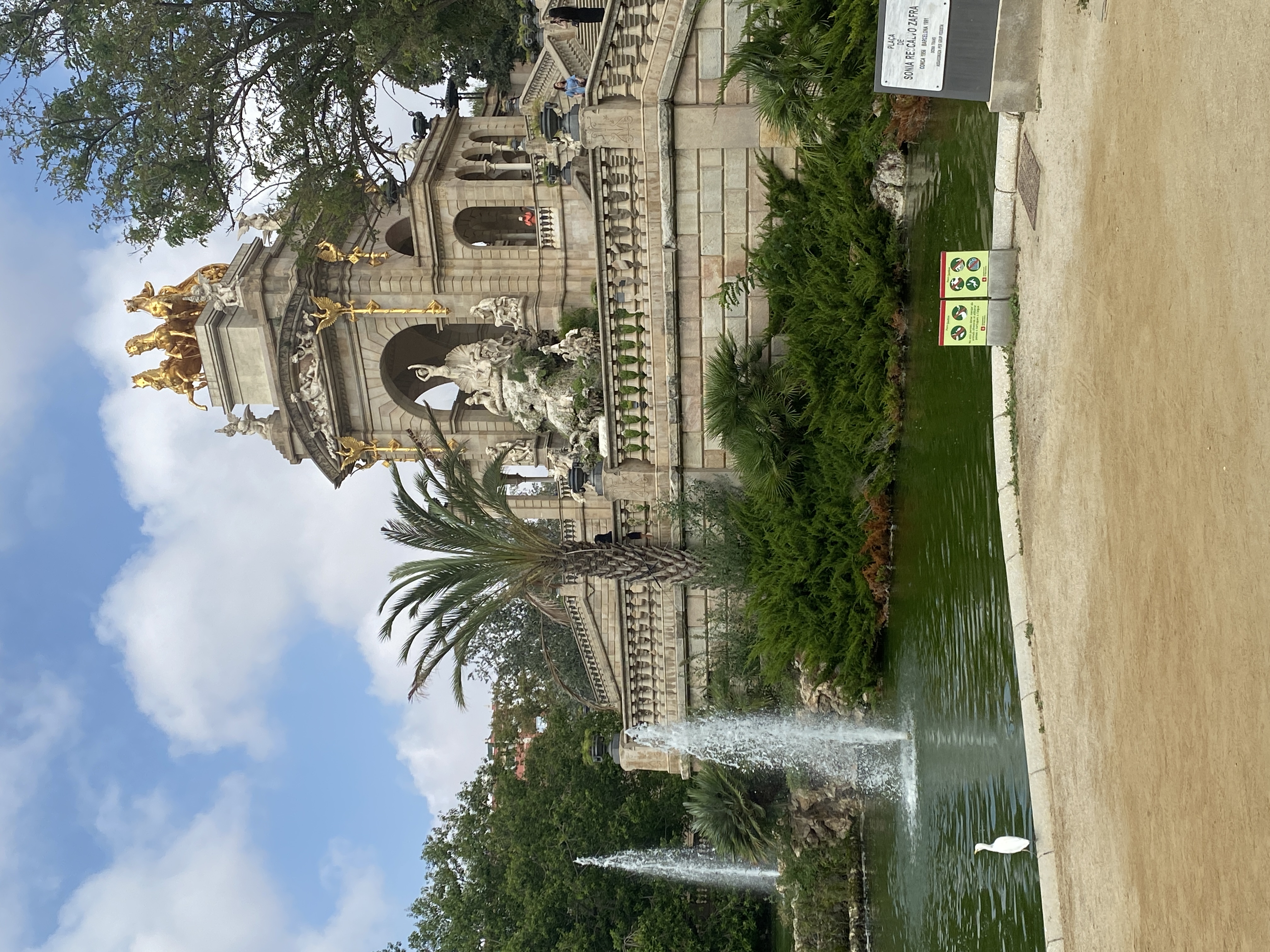IMG_0890.jpeg