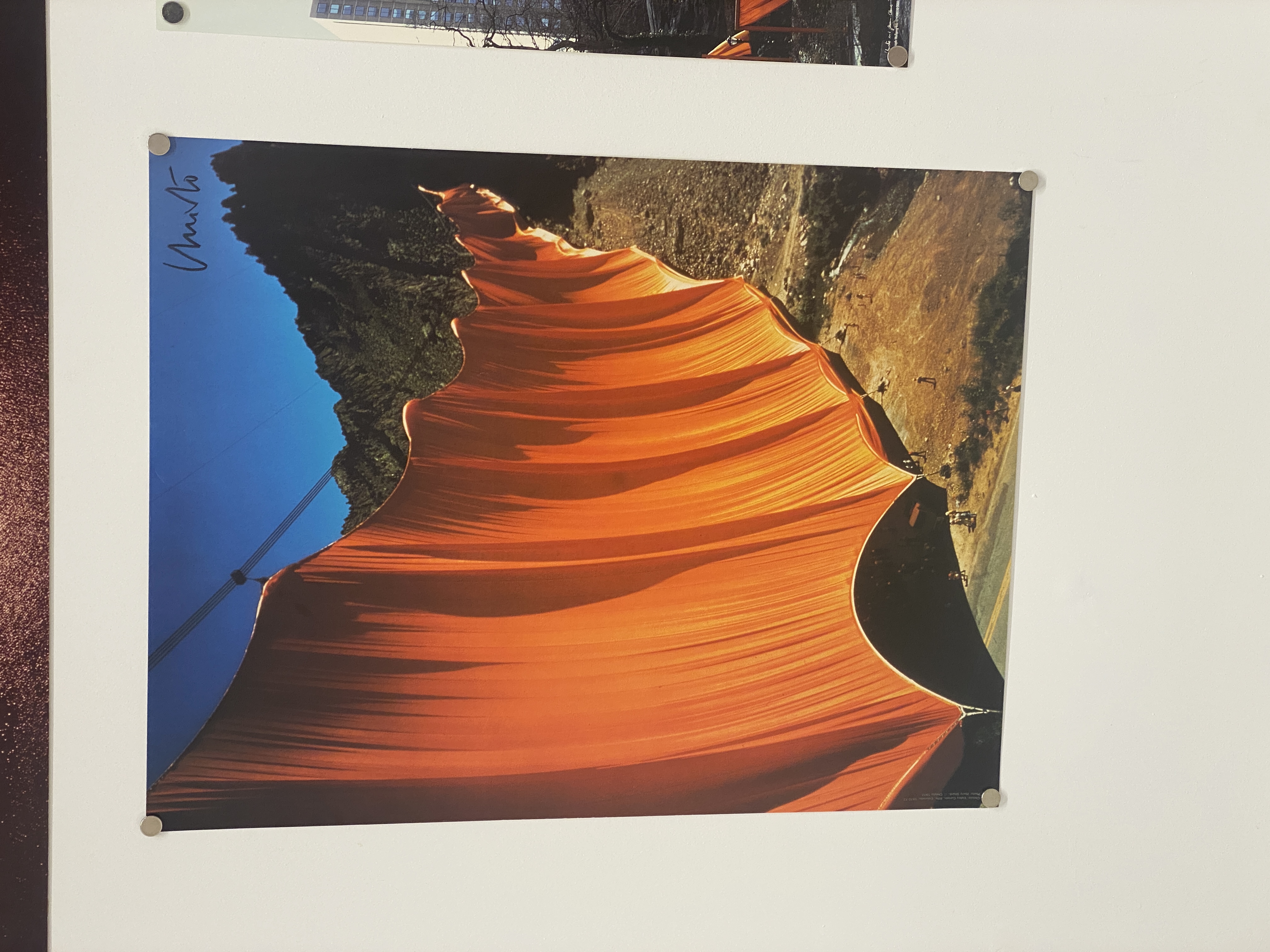IMG_0913.jpeg