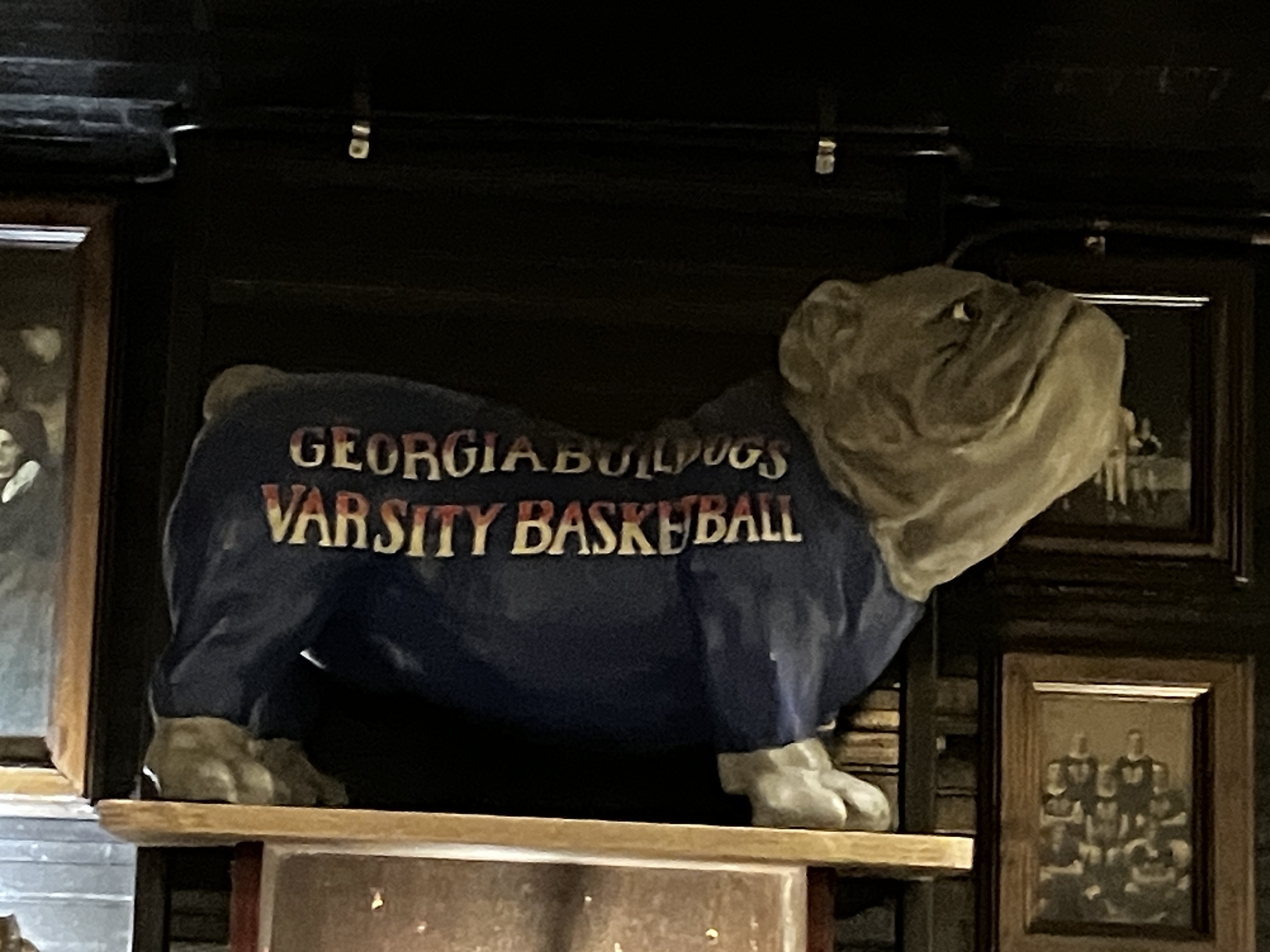 IMG_2206.jpeg